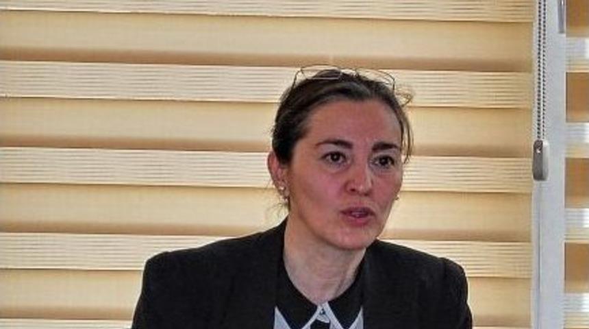 Adana Sanat Konseyi Oluşturuldu