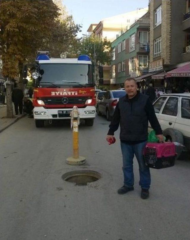 Yavru Kediye Kurtarma Operasyonu 1