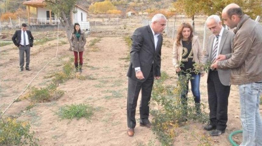 Yozgat&rsquo;ta &Ccedil;ift&ccedil;iler Tarım Danışmanı Ziraat M&uuml;hendisleriyle Daha Kaliteli &Uuml;r&uuml;n Yetiştirecek
