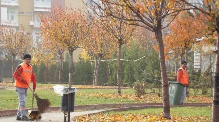 Onlar Sonbahar S&uuml;p&uuml;r&uuml;c&uuml;s&uuml;