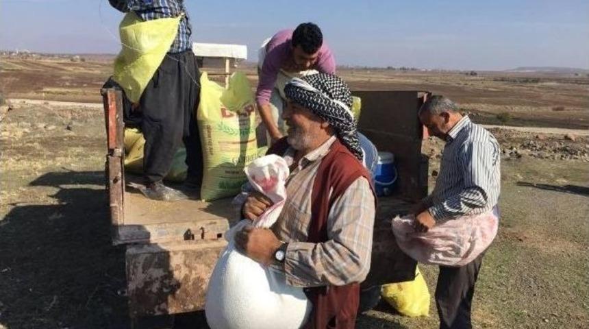 Kilis&rsquo;te Meralara G&uuml;bre Atılıyor