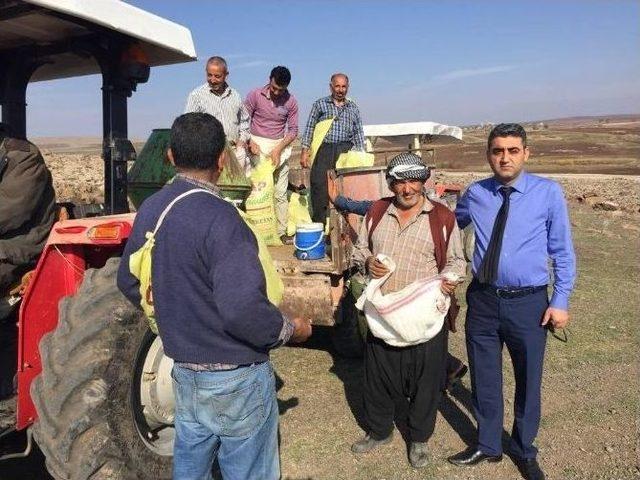 Kilis&rsquo;te Meralara G&uuml;bre Atılıyor 1