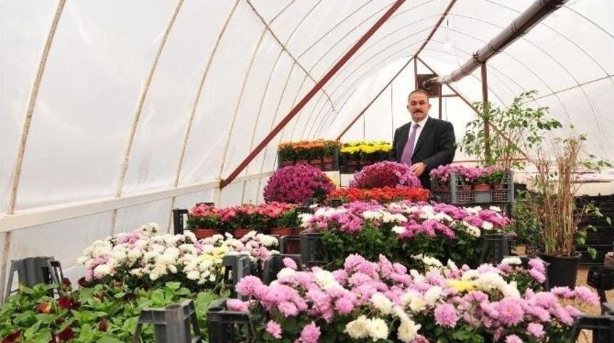 Afşin Belediyesi Sera Kurup &Ccedil;i&ccedil;ek &Uuml;retiyor