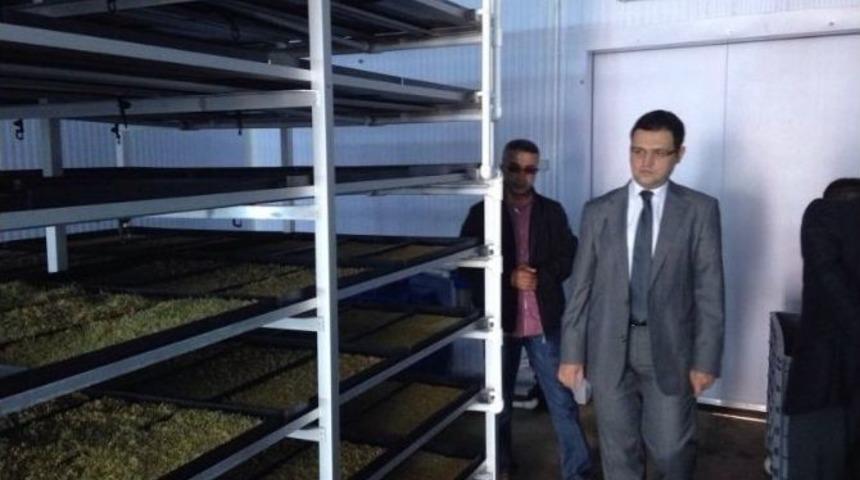Malatya&rsquo;da Tek &Ccedil;imlenme Odası P&uuml;t&uuml;rge&rsquo;de Kuruldu