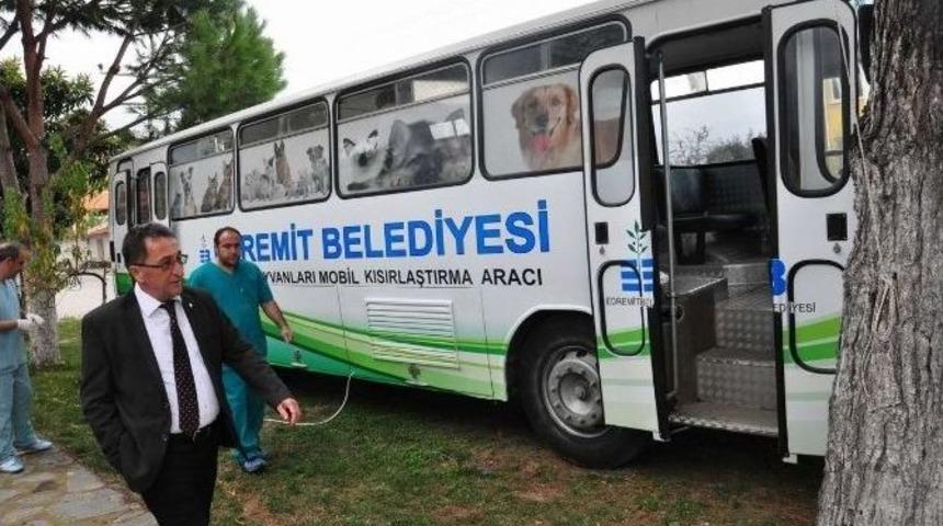 Edremit&rsquo;te Sokak Hayvanları Kısırlaştırılıyor