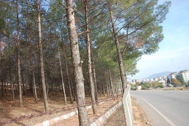 Mesire Alanında Elektrik Telleri Ölüm Tehlikesi Saçıyor 1