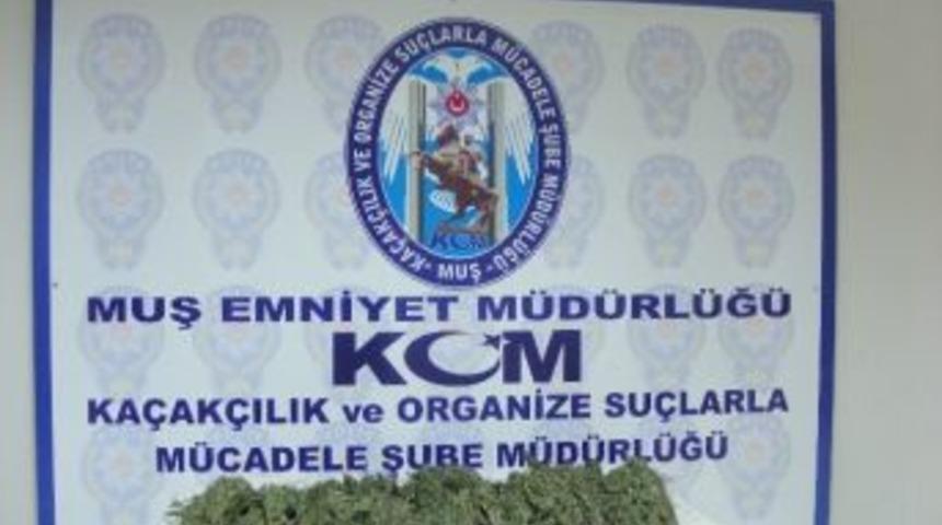 Muş&rsquo;ta Uyuşturucu Operasyonu