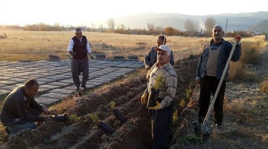 Adilcevaz&rsquo;da Fidan Dikimi