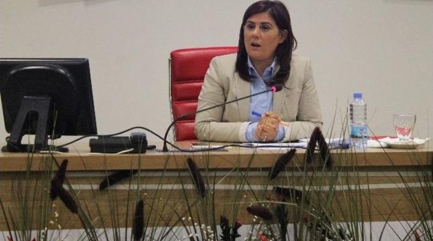 Aydın Bşb Meclisi&rsquo;nde Parti Grupları 2015 B&uuml;t&ccedil;esini Değerlendirdi