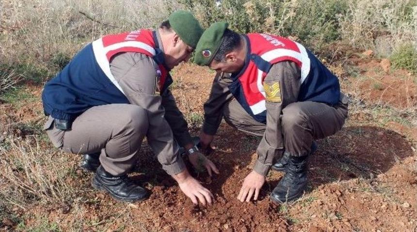 Beyşehir&rsquo;de 3 Bin Fidan Toprakla Buluşturuldu