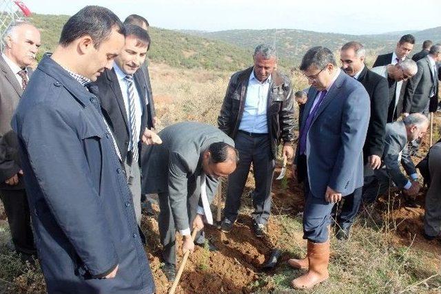 Beyşehir&rsquo;de 3 Bin Fidan Toprakla Buluşturuldu 1