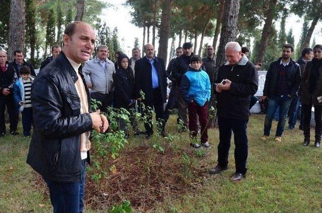 Lapseki Belediyesinden Şehitler Abidesine Ziyaret 1