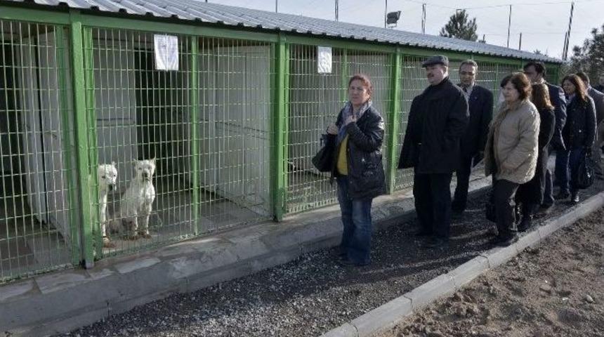 Chp&rsquo;liler Doğal Yaşam Merkezi&rsquo;ni Ziyaret Etti