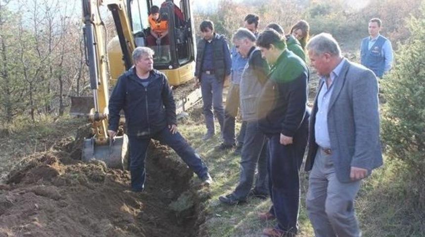 Genel M&uuml;d&uuml;r Yardımcısı Şahin, İhsangazi&rsquo;de İncelemelerde Bulundu