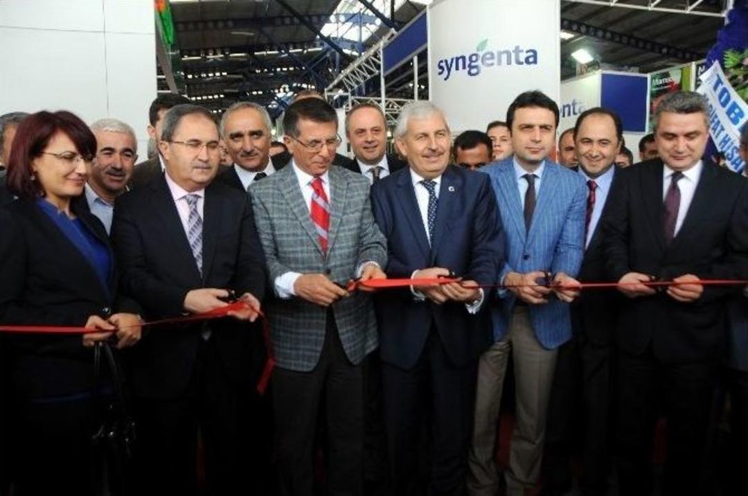 İki Dakikada 995 Gram Domates Yiyen Kadın Birinci Oldu