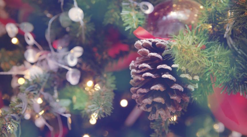 2016 yılının  trendleri ne olacak?