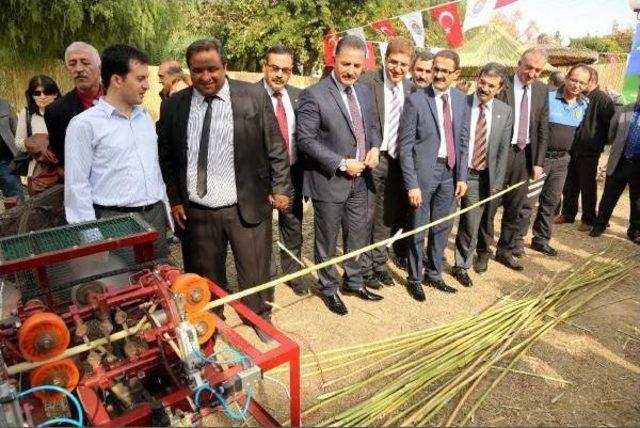 MERSİN DE ROMANLAR İ&Ccedil;İN HASIR &Ouml;RME AT&Ouml;LYESİ A&Ccedil;ILDI 1