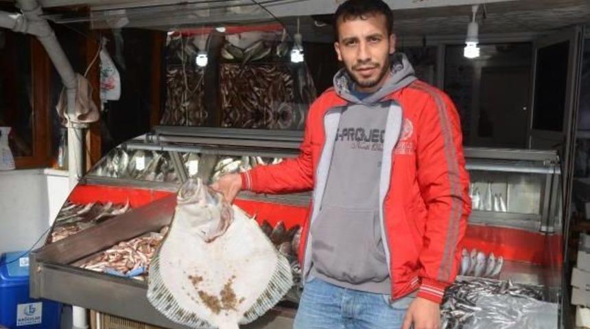 OLTAYA 5.5 KİLOLUK KALKAN TAKILDI