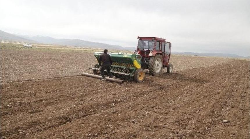Paland&ouml;ken Gıda Tarım Ve Hayvancılık İl&ccedil;e M&uuml;d&uuml;r&uuml; Yiğit&rsquo;ten &Ccedil;ift&ccedil;ilere &Ouml;nemli A&ccedil;ıklamalar
