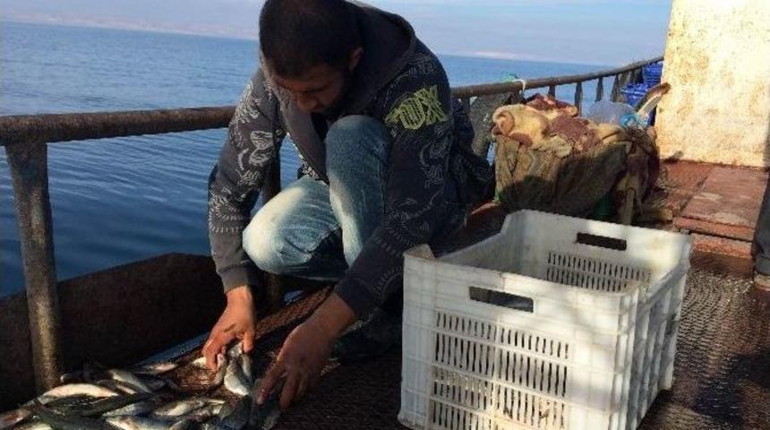 Van&rsquo;da Balık&ccedil;ılık