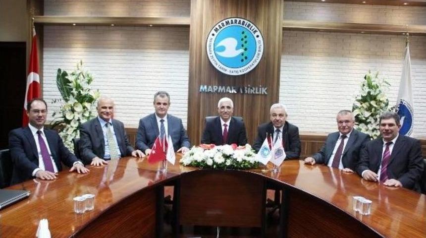 Marmarabirlik&rsquo;ten Mudanya&rsquo;ya Zeytin Depolama Tesisi