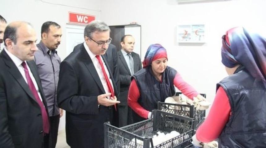 Vali Ali İhsan Su, Mantar &Uuml;retim Tesisinde İncelemelerde Bulundu