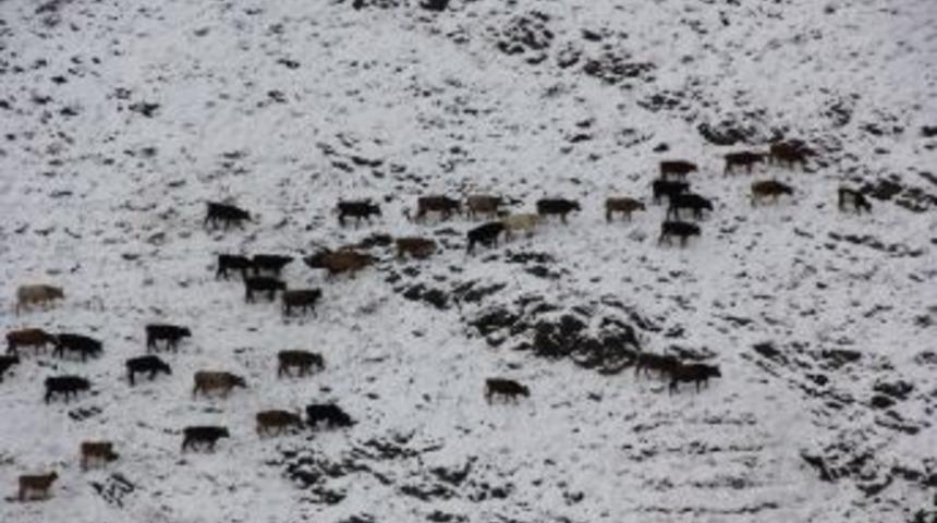 Meteorolojiden Doğu&rsquo;da Kar Uyarısı