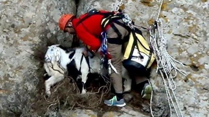 KAYALIKLARDA MAHSUR KALAN 5 KE&Ccedil;İYİ AKUT KURTARDI