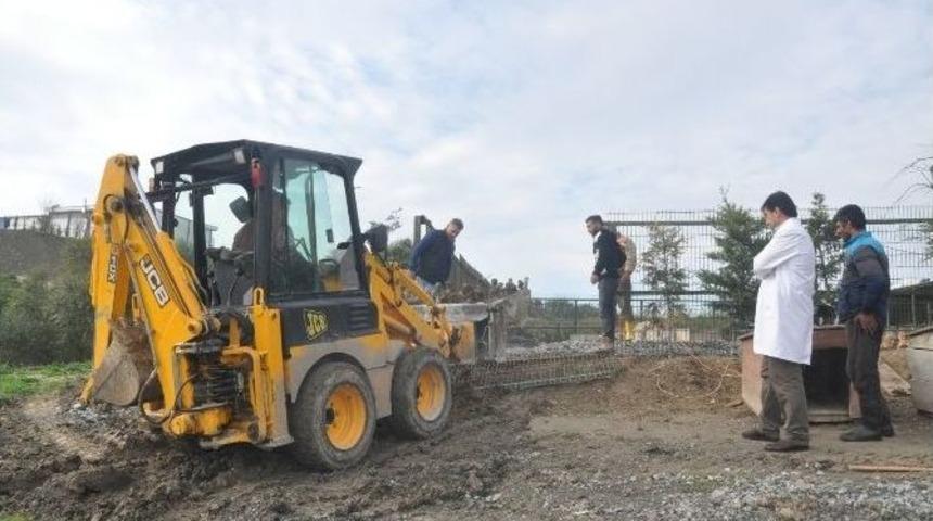 Beylikd&uuml;z&uuml; Belediyesi Ge&ccedil;ici Hayvan Bakım Evi Kışa Hazırlanıyor