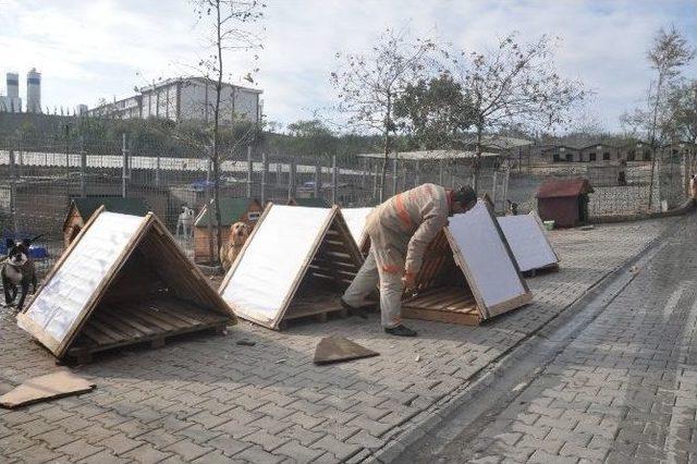 Beylikd&uuml;z&uuml; Belediyesi Ge&ccedil;ici Hayvan Bakım Evi Kışa Hazırlanıyor 1