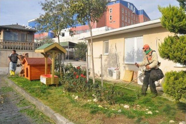 Beylikd&uuml;z&uuml; Belediyesi Ge&ccedil;ici Hayvan Bakım Evi Kışa Hazırlanıyor 3