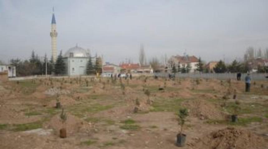 Bolvadin&rsquo;de Ağa&ccedil;landırma &Ccedil;alışmaları Devam Ediyor