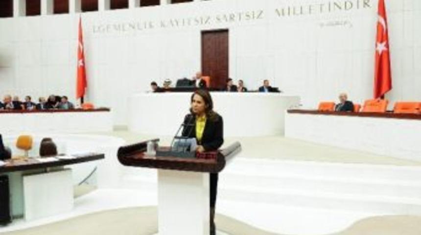 En&ccedil; Hayvan Hakkı İhlallerini G&uuml;ndeme Getirdi