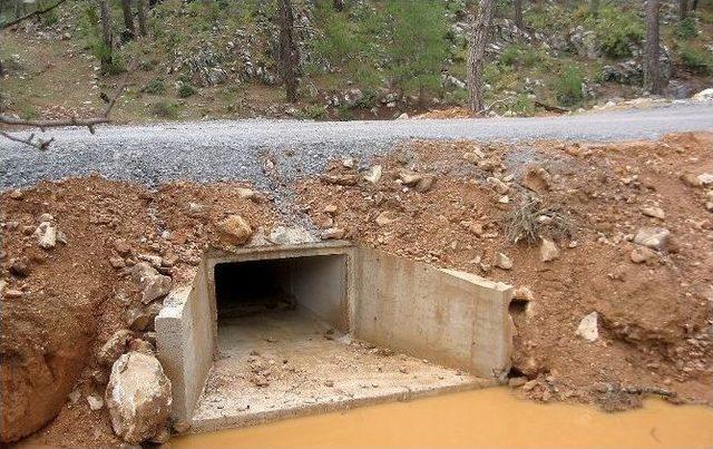 Orman Yollarında Bakım Ve Onarım Çalışması