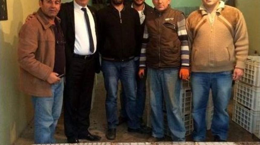 Başkan Hayri T&uuml;rkyılmaz&rsquo;dan Zeytin Tanıtımı Atağı