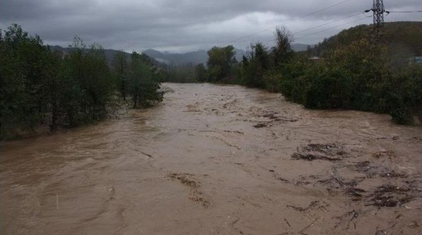 Ünye’de Derelerdeki Su Seviyesi Tedirgin Ediyor