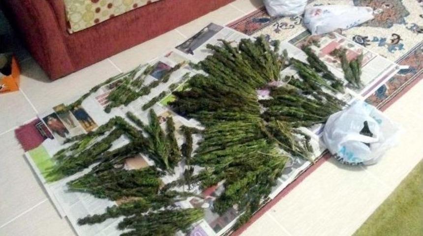 Adıyaman Polisi Uyuşturucu Satıcılarına G&ouml;z A&ccedil;tırmıyor