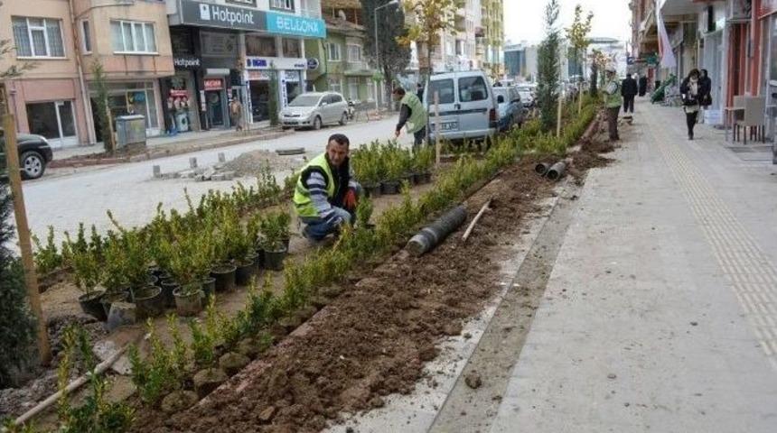 Tavşanlı&rsquo;da Yeşillendirme &Ccedil;alışmaları