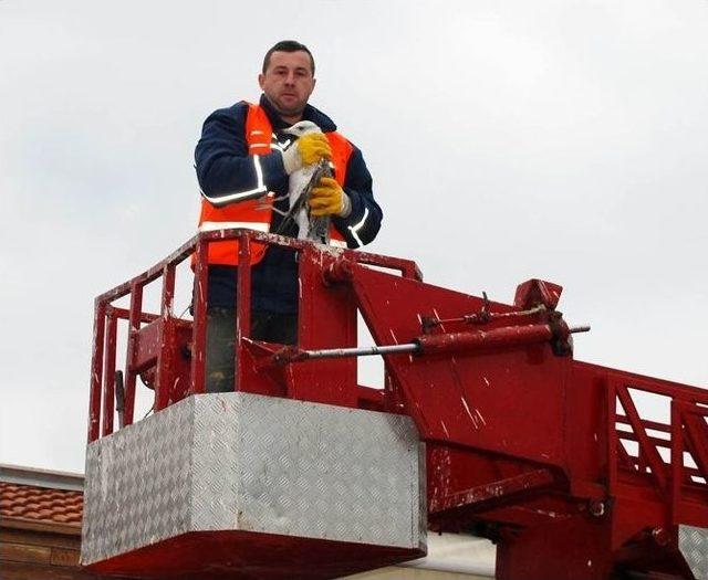 Bursa’da Martı Operasyonu 1