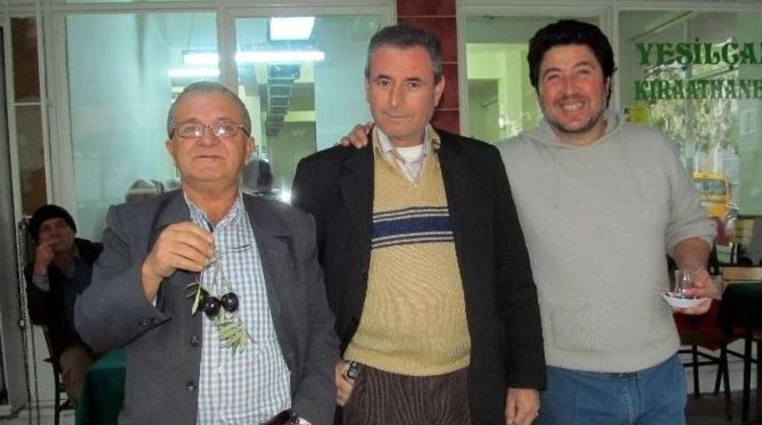 Erik B&uuml;y&uuml;kl&uuml;ğ&uuml;nde Zeytin