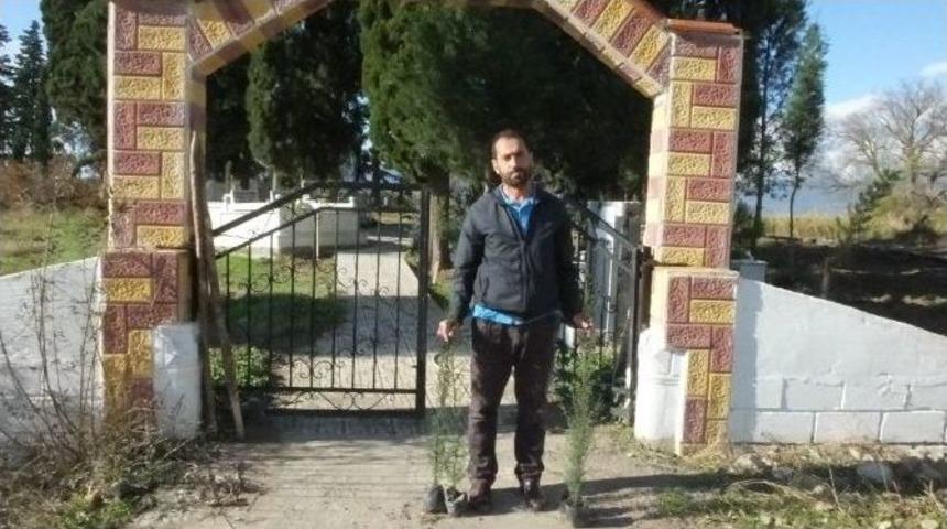 Burhaniye De Mezarlıklara Belediye Temizliği