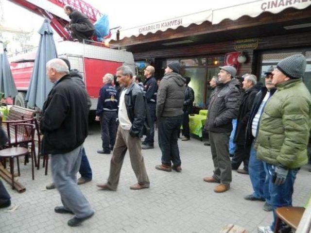 MUDANYA’DA AĞAÇTAKİ MİSİNEYE TAKILAN MARTIYI İTFAİYE KURTARDI