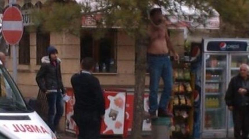 Kendini Ağaca Asarak İntihar Etmek İstedi