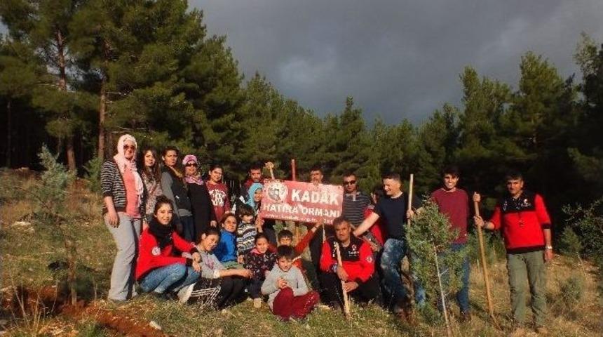 Kadak Ağa&ccedil;landırma Şenliğinde Buluştu