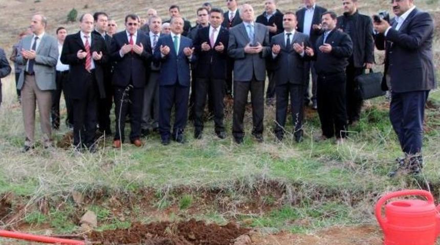 KAHRAMANMARAŞ'TA 10 BİN FİDAN TOPRAKLA BULUŞTU