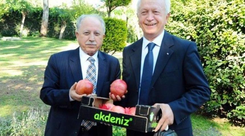 Şifa Kaynağı Nar, Antalya&rsquo;da Masaya Yatırıldı