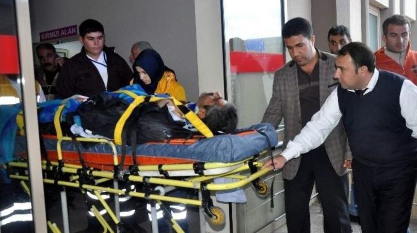 Minib&uuml;s &Uuml;zerinden Ge&ccedil;ti