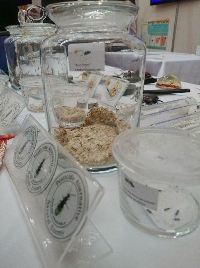 Bakan Işık’tan, Avuç İçi Tarama Testi 2