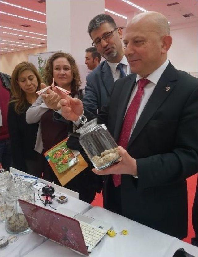 Bakan Işık’tan, Avuç İçi Tarama Testi 3