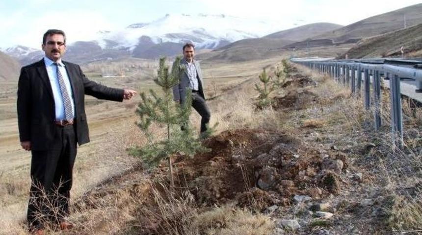 KONAKLI KAYAK MERKEZİ'NİN YOLU AĞA&Ccedil;LANDIRILDI